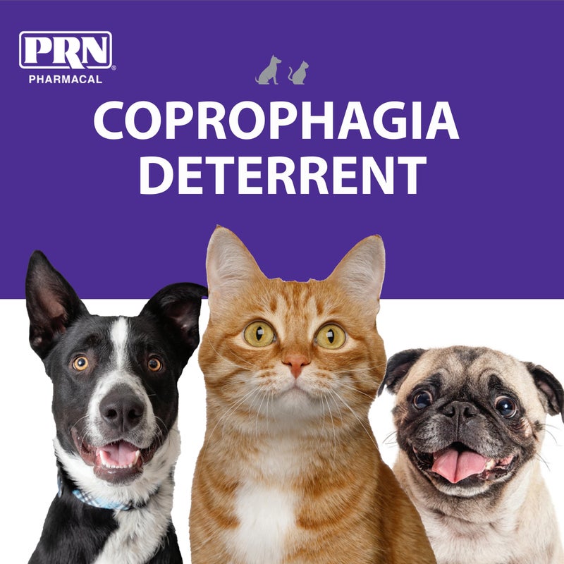 PRN Pharmacal CoproBan Anti-Coprophagia Soft Chews, Roast Beef Flavor - Coprophagia Stool Eating Deterrent Chewable Tablets for Dogs & Cats - Prevent Dog from Eating Poop - 40-Count - Image 3